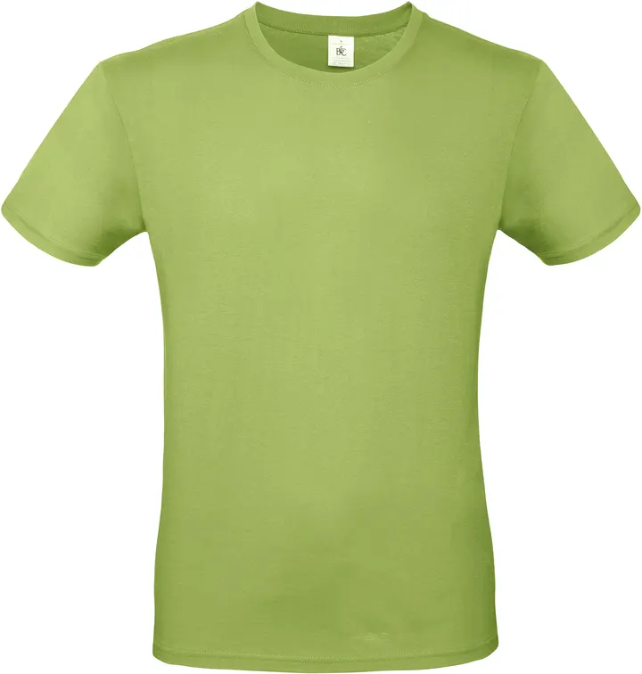 Herren-T-Shirt #E150 Pistachio