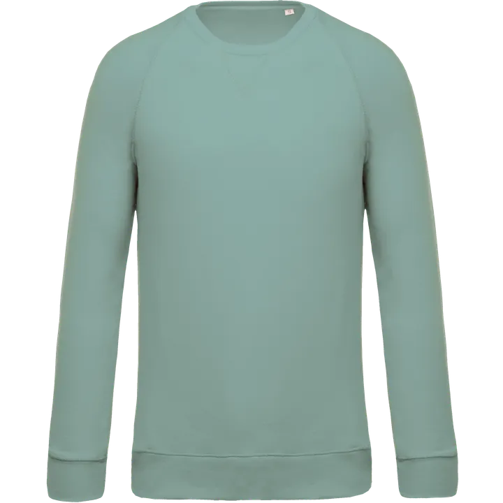 Herren Sweatshirt BIO-BAUMWOLLE Rundhalsausschnitt Raglanärmel Sage