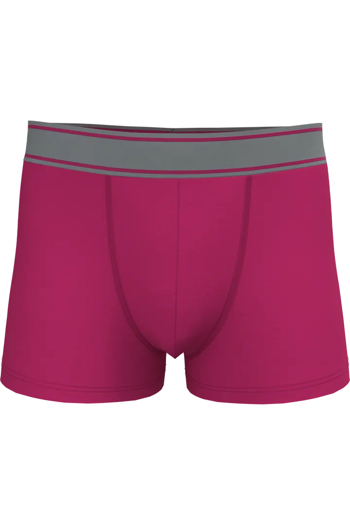 Boxer Fuchsia