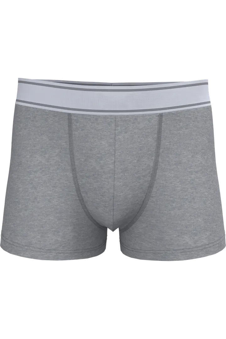 Boxer Oxford Grey
