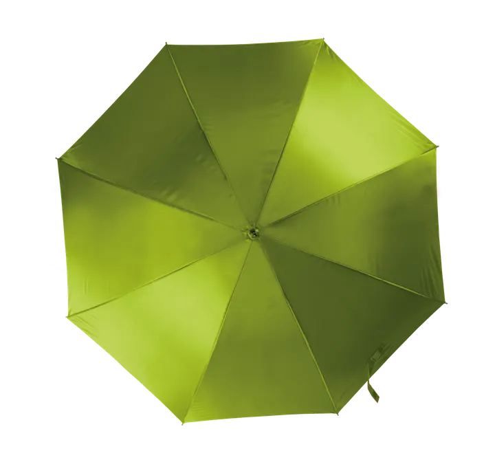 Automatischer Regenschirm Burnt Lime