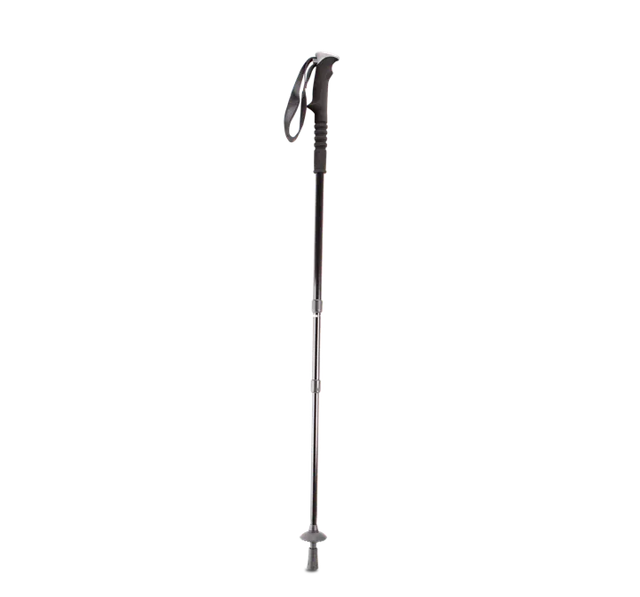 Bâton de trekking Black