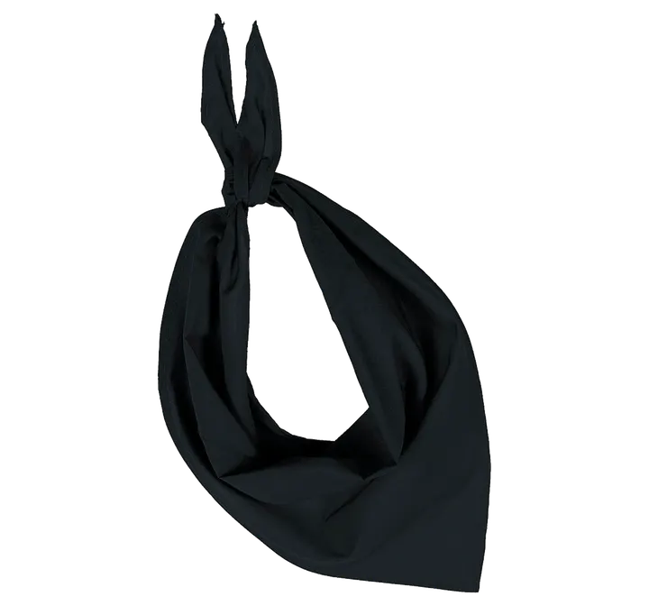Fiesta - Bandana Black