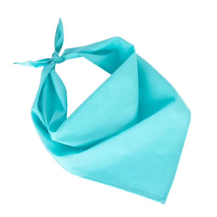 Fiesta - Bandana Calypso Blue