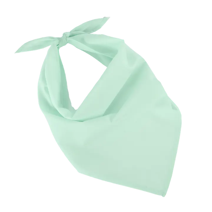 Fiesta - Bandana Frost Green