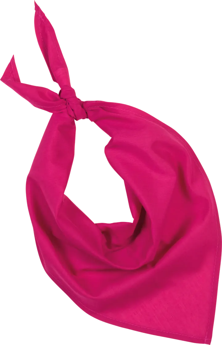 Fiesta - Bandana Fuchsia
