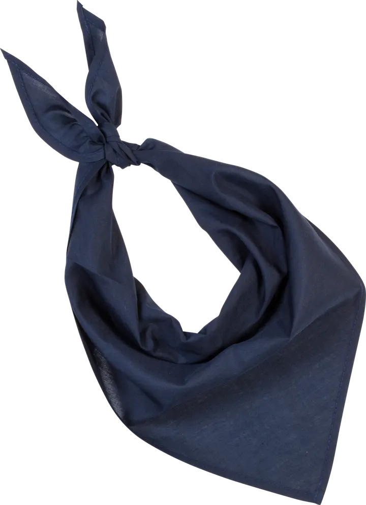 Fiesta - Bandana Navy