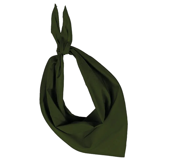 Fiesta - Bandana Olive