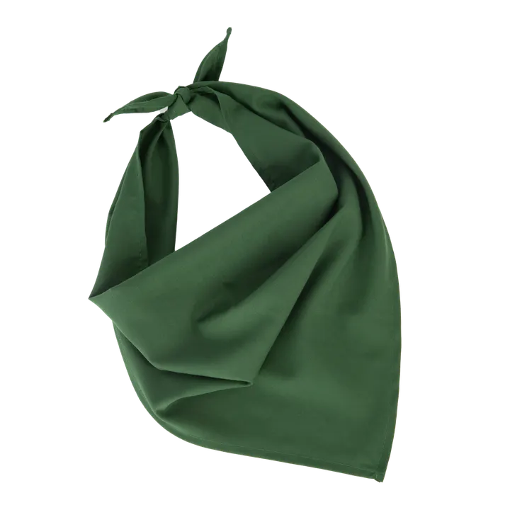 Fiesta - Bandana Pasture Green