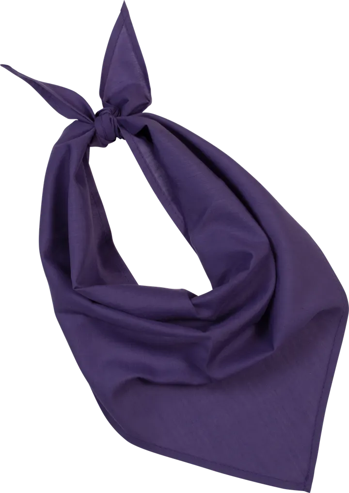 Fiesta - Bandana Purple