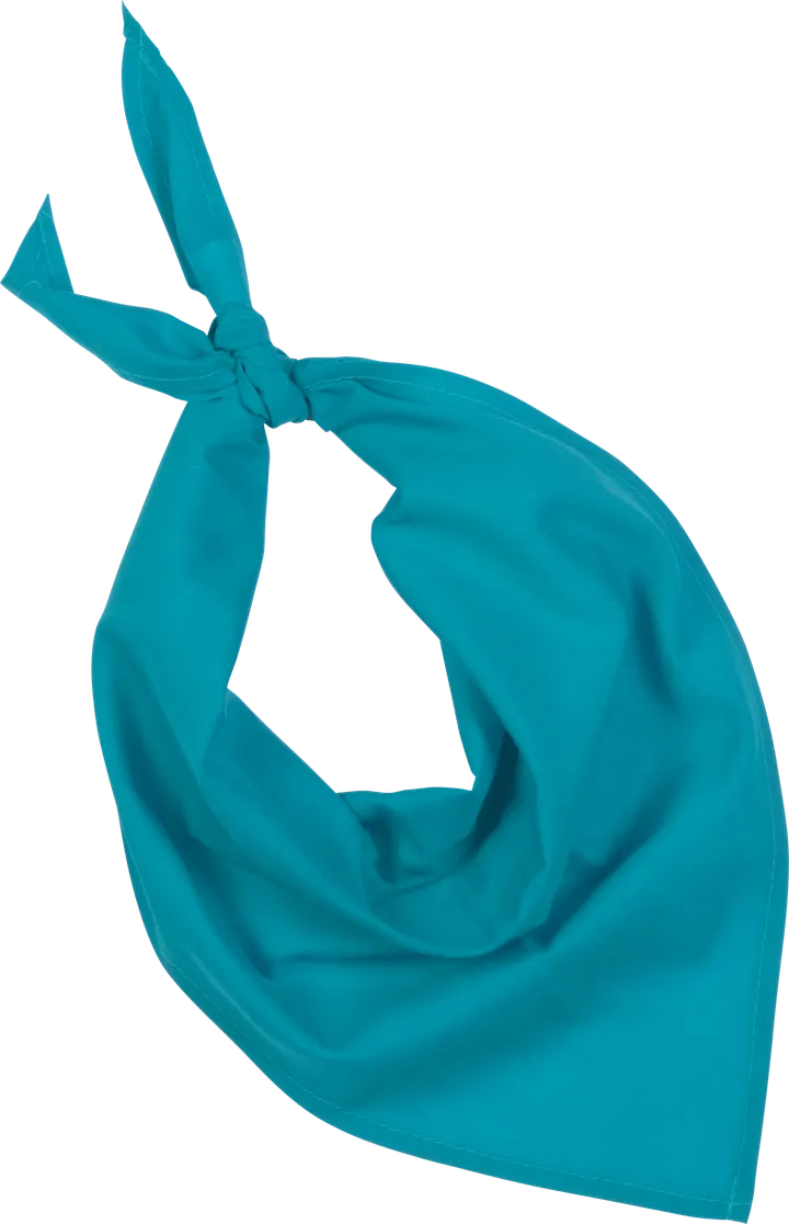 Fiesta - Bandana Turquoise