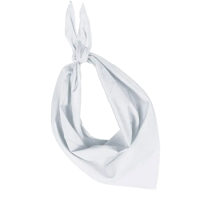 Fiesta - Bandana White