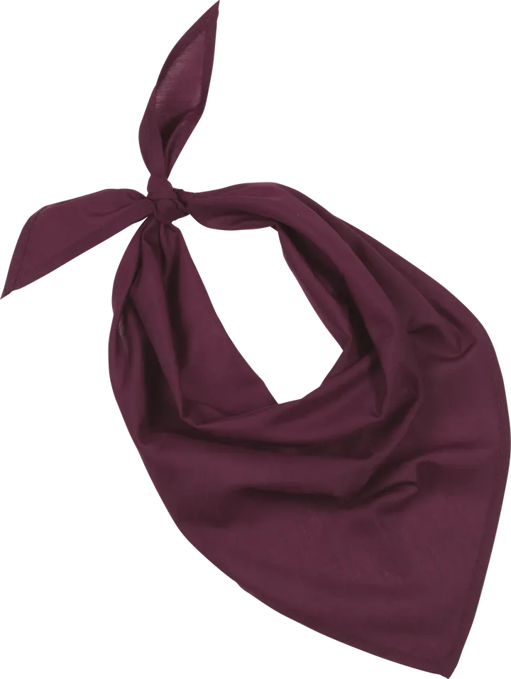 Fiesta - Bandana Wine