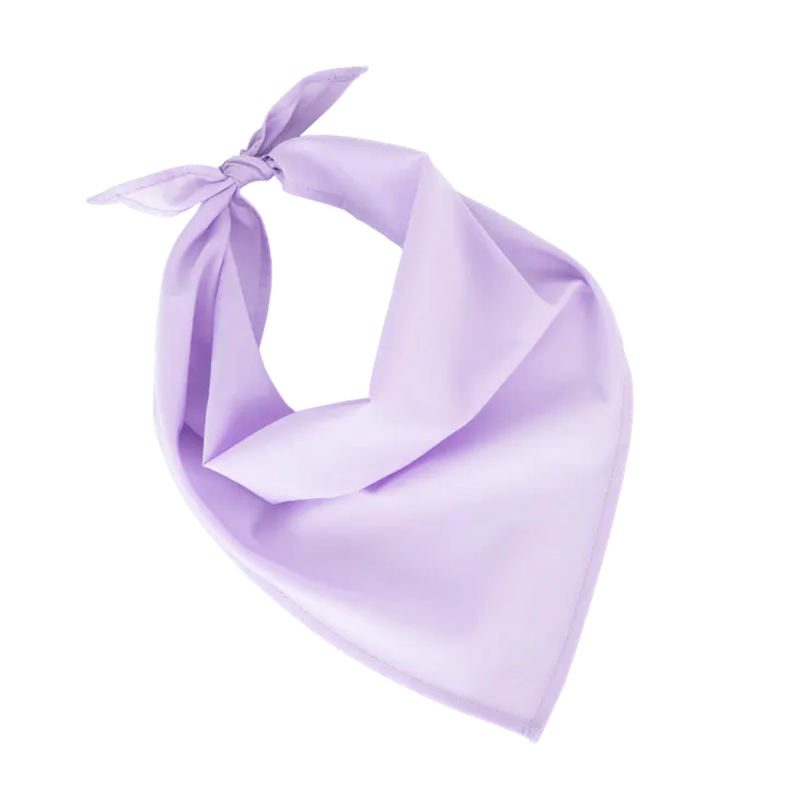 Fiesta - Bandana Wisteria Purple