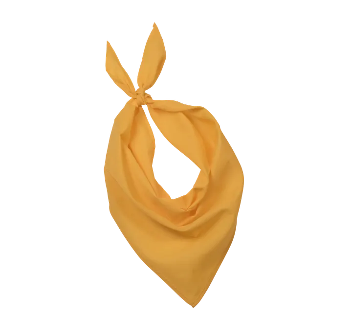 Fiesta - Bandana Yellow