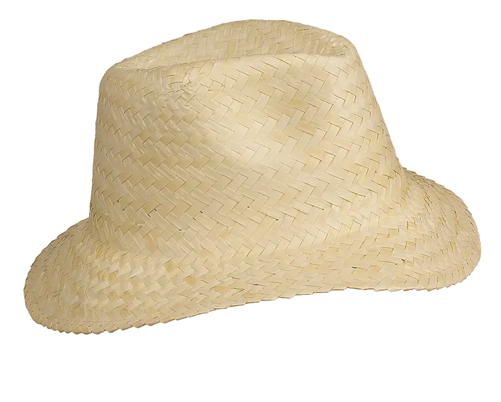 Panama - Chapeau Panama Natural