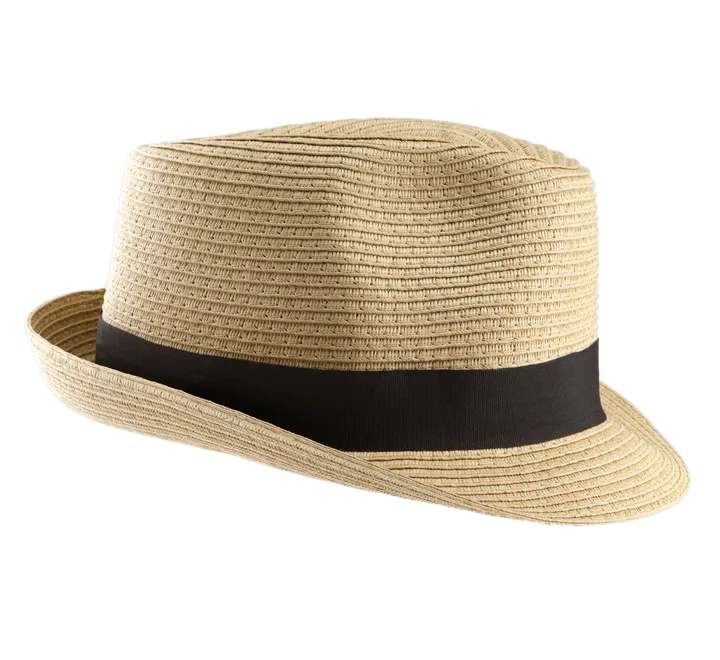 Chapeau Panama Natural