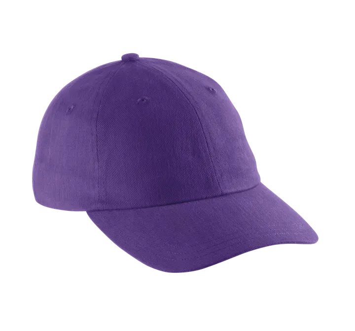 Dad cap - 6 panneaux Purple
