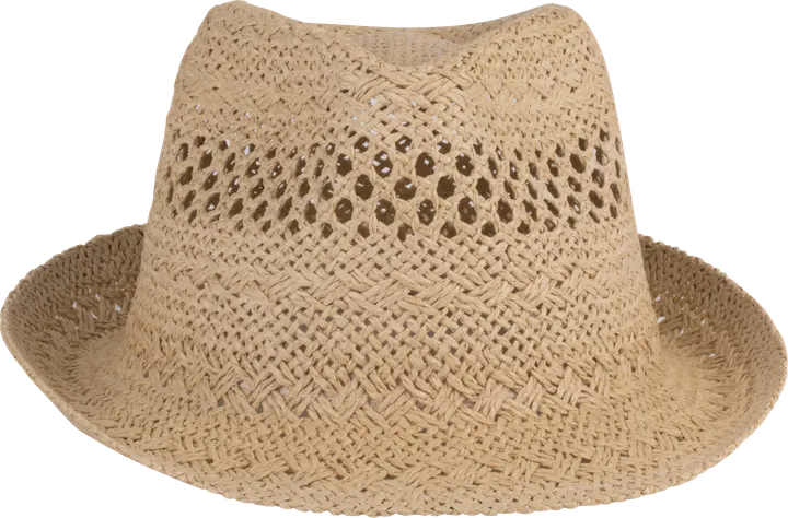 Chapeau style Panama Natural