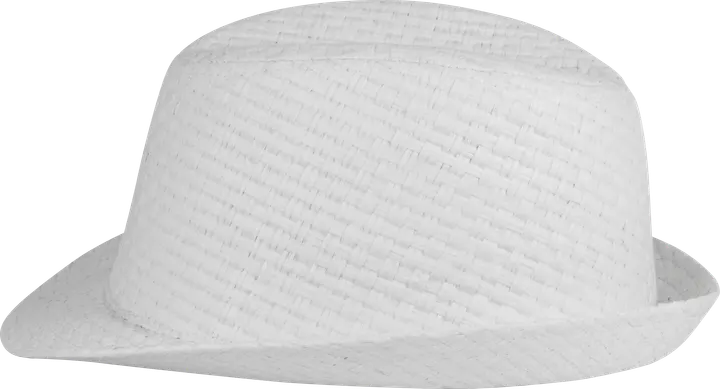 Chapeau de paille style Panama rétro White
