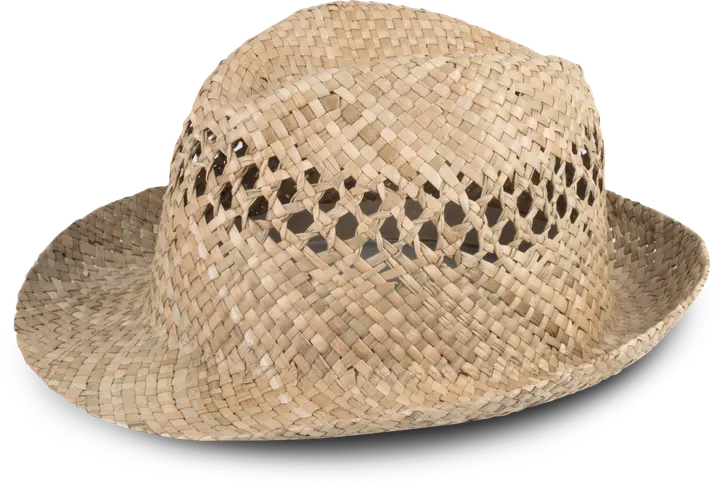 Geflochtener Panama-Hut Natural