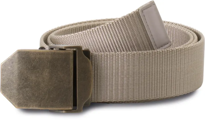 Metallschnalle Gürtel Beige / Old Brass