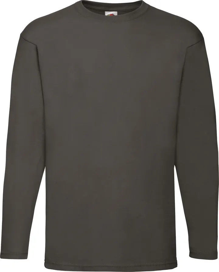 Valueweight Long Sleeve T (61-038-0) Light Graphite
