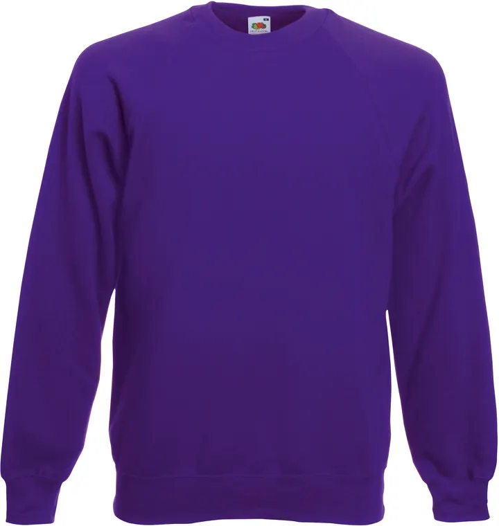 Classic Raglan Sweat (62-216-0) Purple