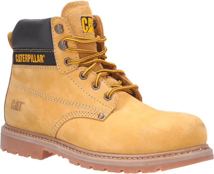 Holton Safety Shoes 2