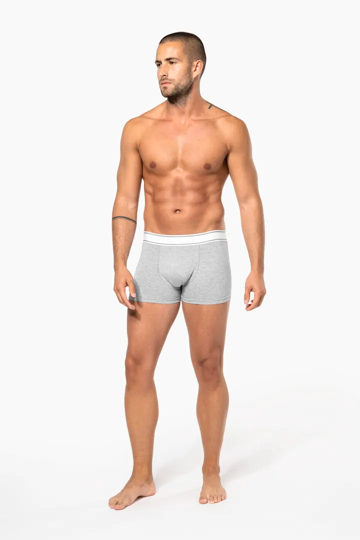 Boxer 6