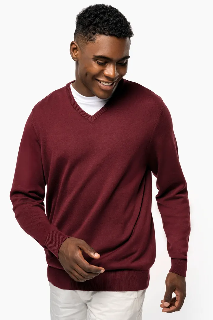 Pull col V homme 4
