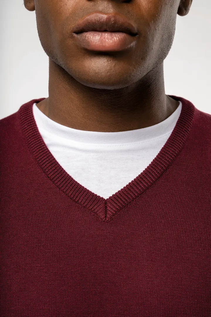 Pull col V homme 5