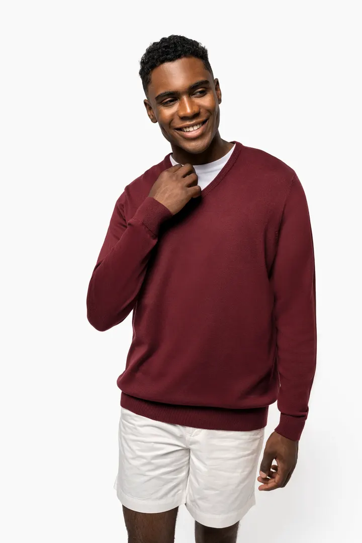 Pull col V homme 6