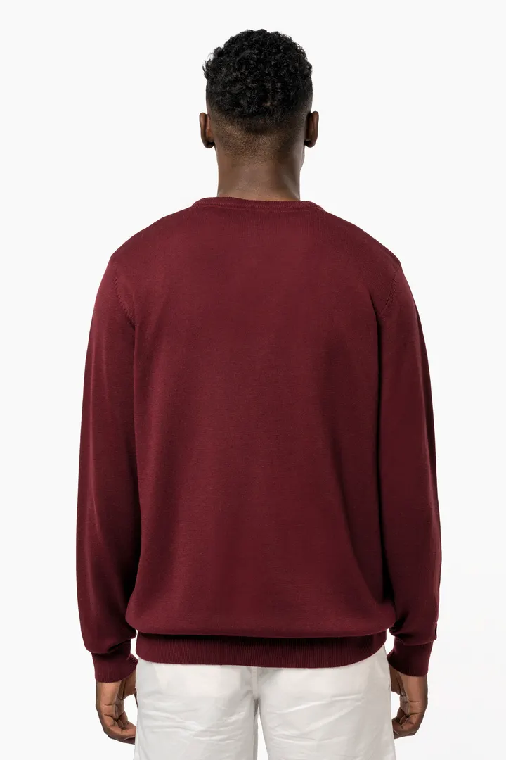 Pull col V homme 7