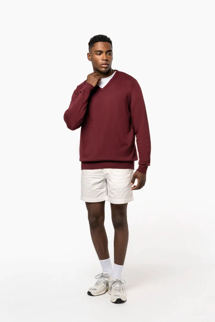 Pull col V homme 8