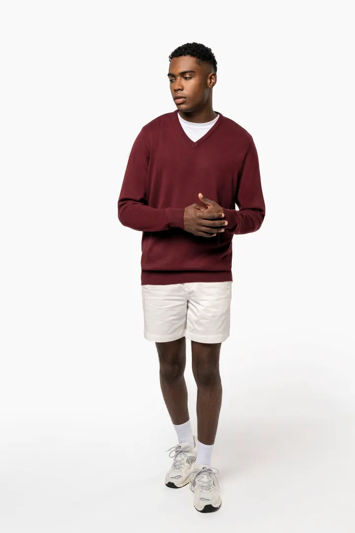 Pull col V homme 9