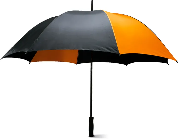 Sturmfester Regenschirm 2