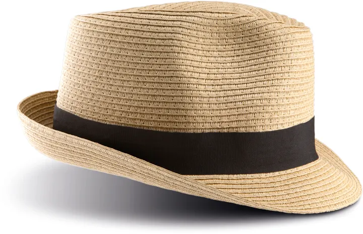 Chapeau Panama 2