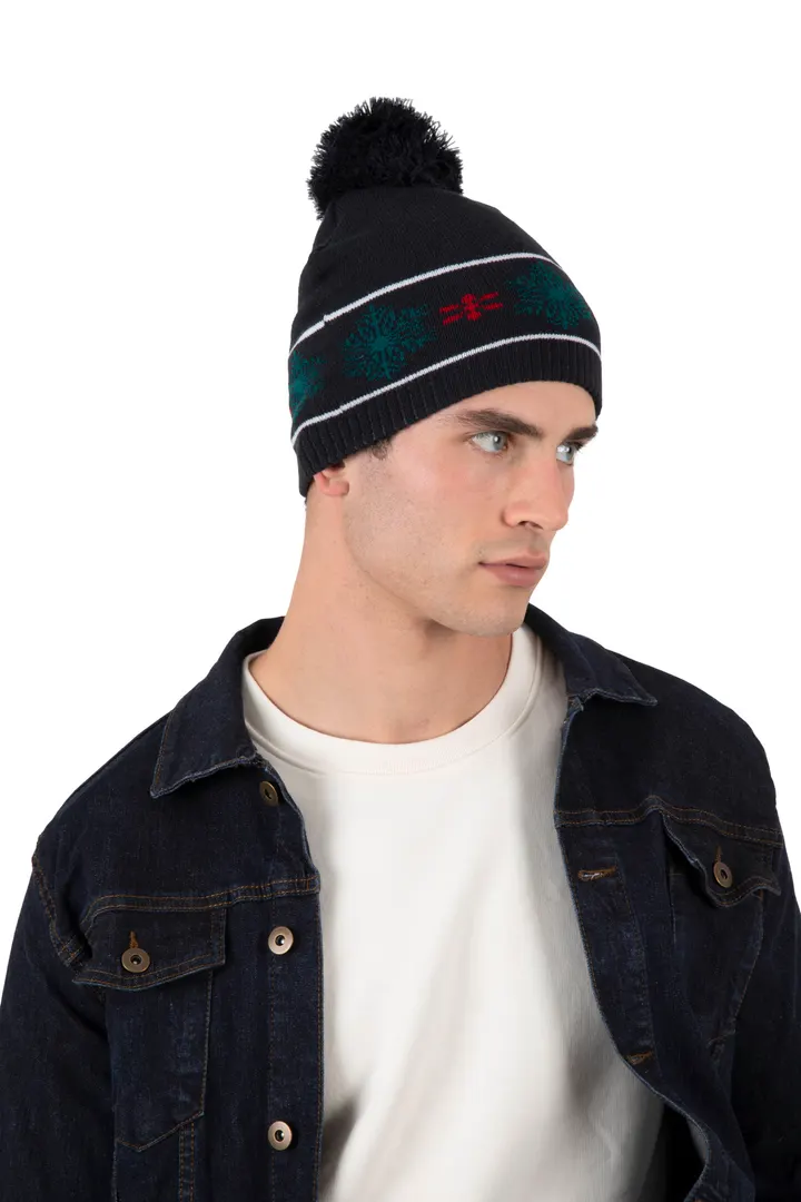 Bonnet motifs de Noël 2