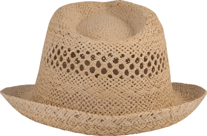 Chapeau style Panama 3