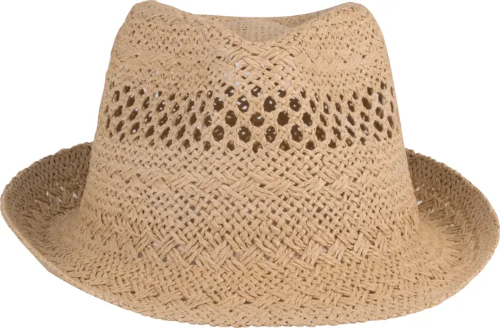 Chapeau style Panama 5