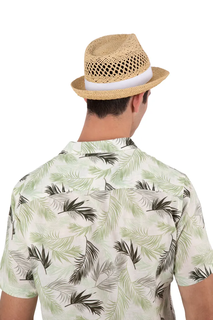 Chapeau style Panama 7