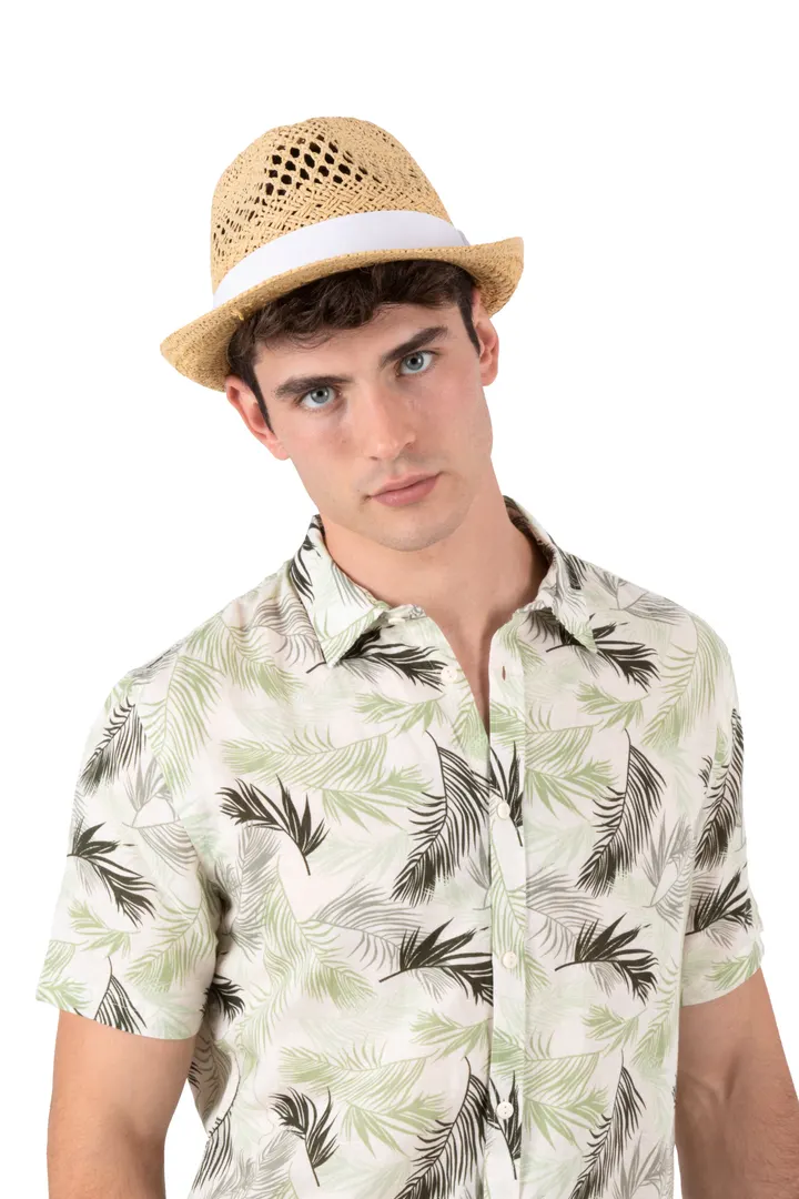 Chapeau style Panama 1