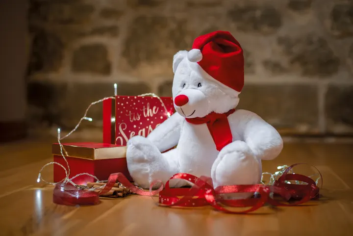 Weihnachts-Plüschbär mit Reißverschluss 1
