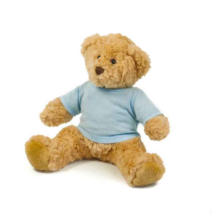 Teddy T-Shirt 2
