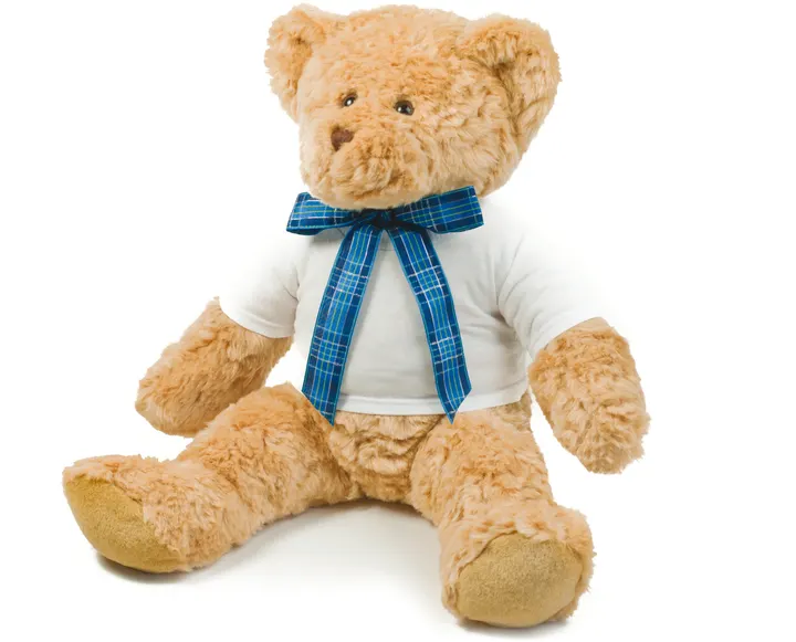 Teddy T-Shirt 1