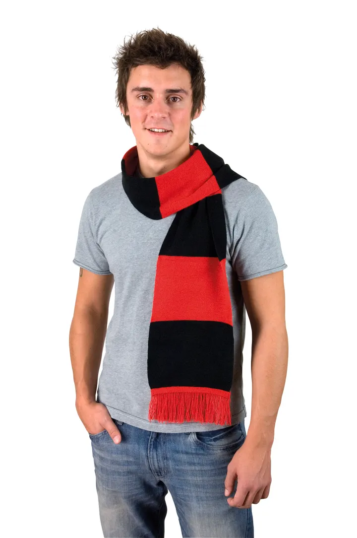 Team Scarf 2