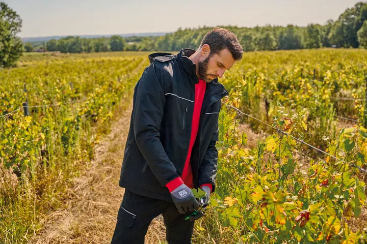 Handschuhe für den Einsatz in feuchten Umgebungen 7
