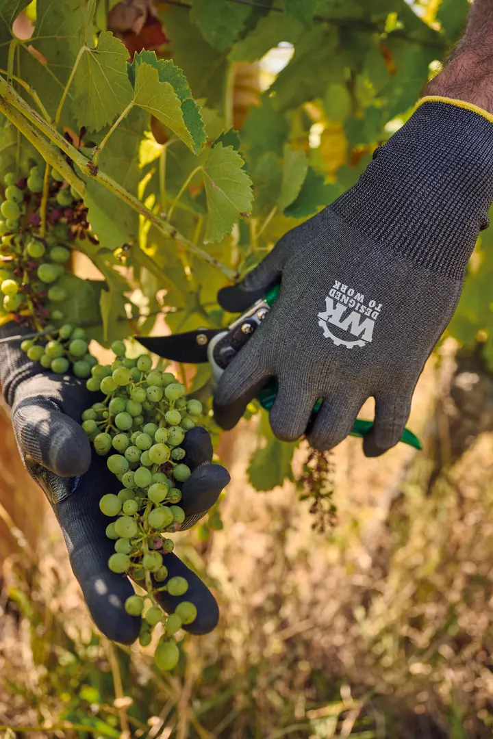 Gants tactiles de protection contre les coupures 5